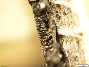 damping properties of materials